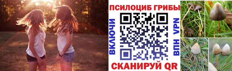 Галлюциногенные грибы Psilocybe  гидра зеркало  Далматово 